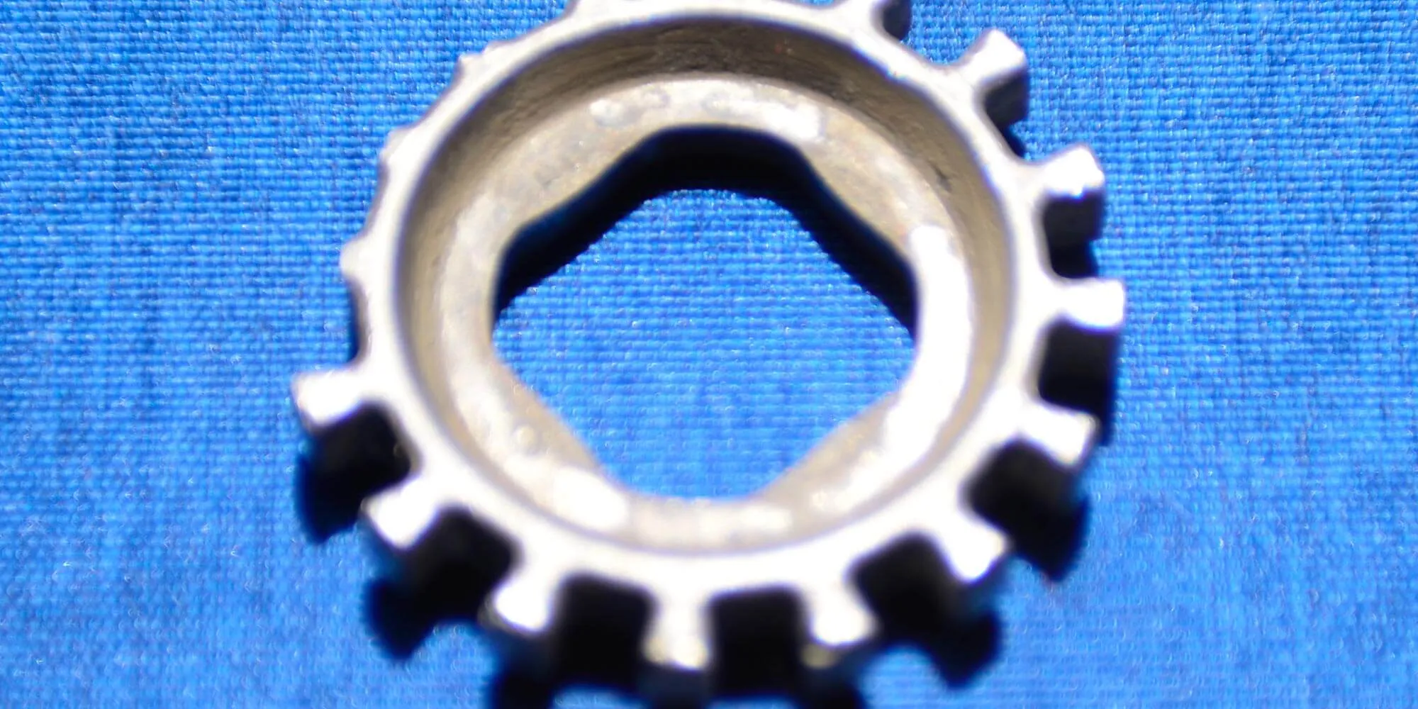 Ars Electronica Garden CDMX — El jardín de la incertidumbre