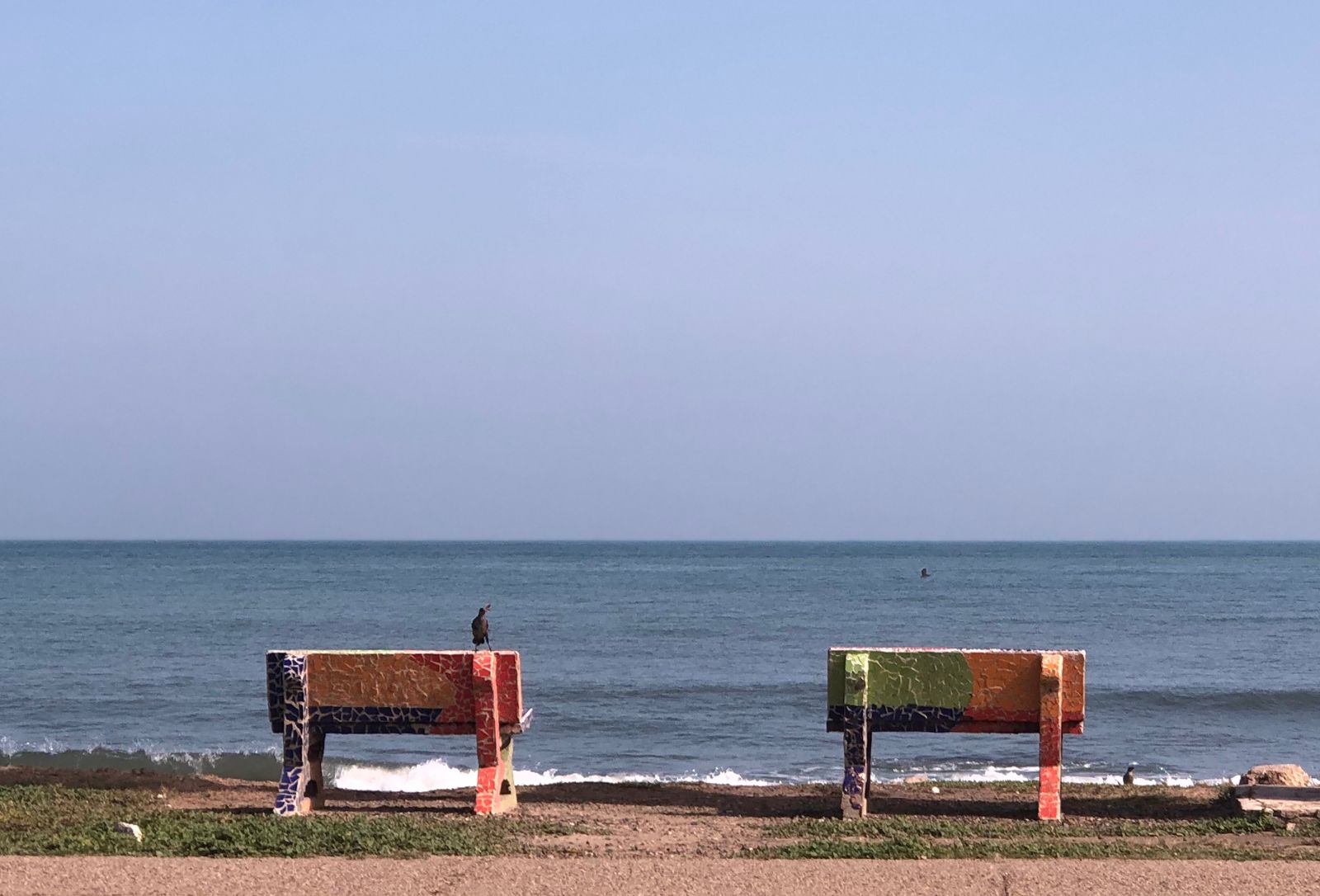 Punto Común — proyecto transdisciplinar